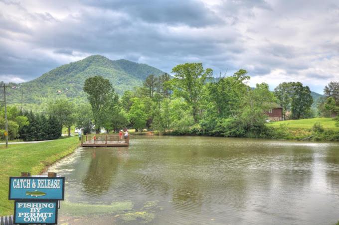 Private Smoky Mountain Luxury Log Home With 2 Fireplaces, Hot Tub & Community Pool Сивиървил Екстериор снимка